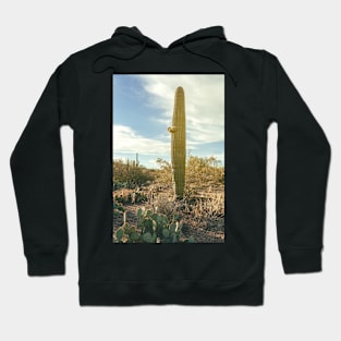 Saguaro Stands Hoodie